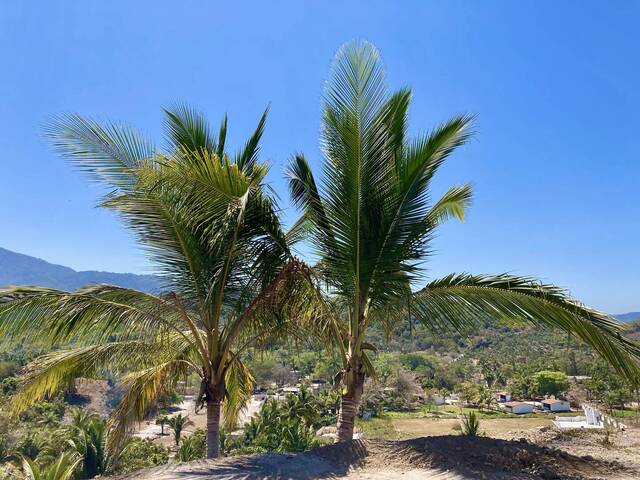 #51 - Terreno para Venta en San Blas - NT - 2