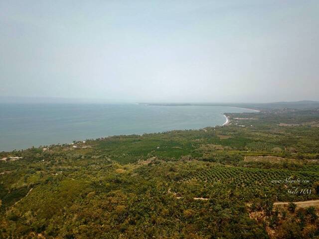 #62 - Área para Venta en San Blas - NT - 3