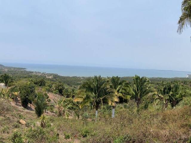Área para Venta en San Blas - 4