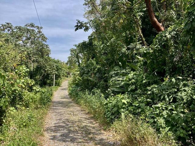 Área para Venta en San Blas - 5