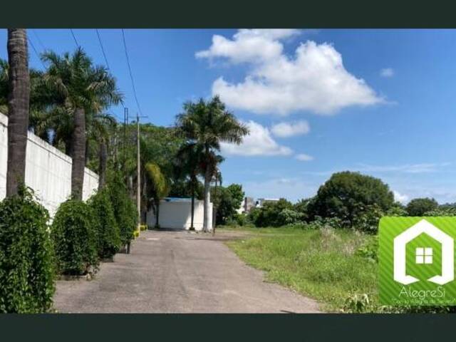 Área para Venta en Tepic - 4