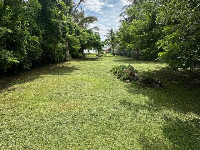 #77 - Área para Venta en San Blas - NT - 3