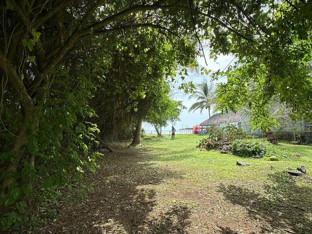 Área para Venta en San Blas - 5