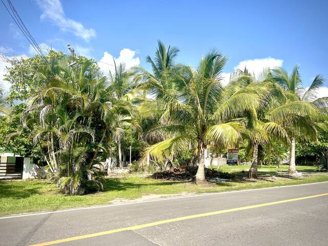 #87 - Terreno para Venta en San Blas - NT